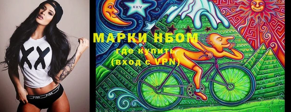 прущие грибы Алзамай