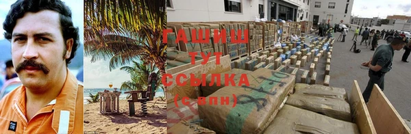 прущие грибы Алзамай