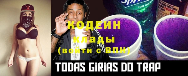прущие грибы Алзамай