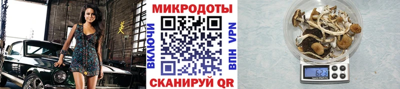 площадка официальный сайт  Белоозёрский  Галлюциногенные грибы мухоморы  где найти   hydra ссылки 